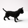 Gato Bombaim